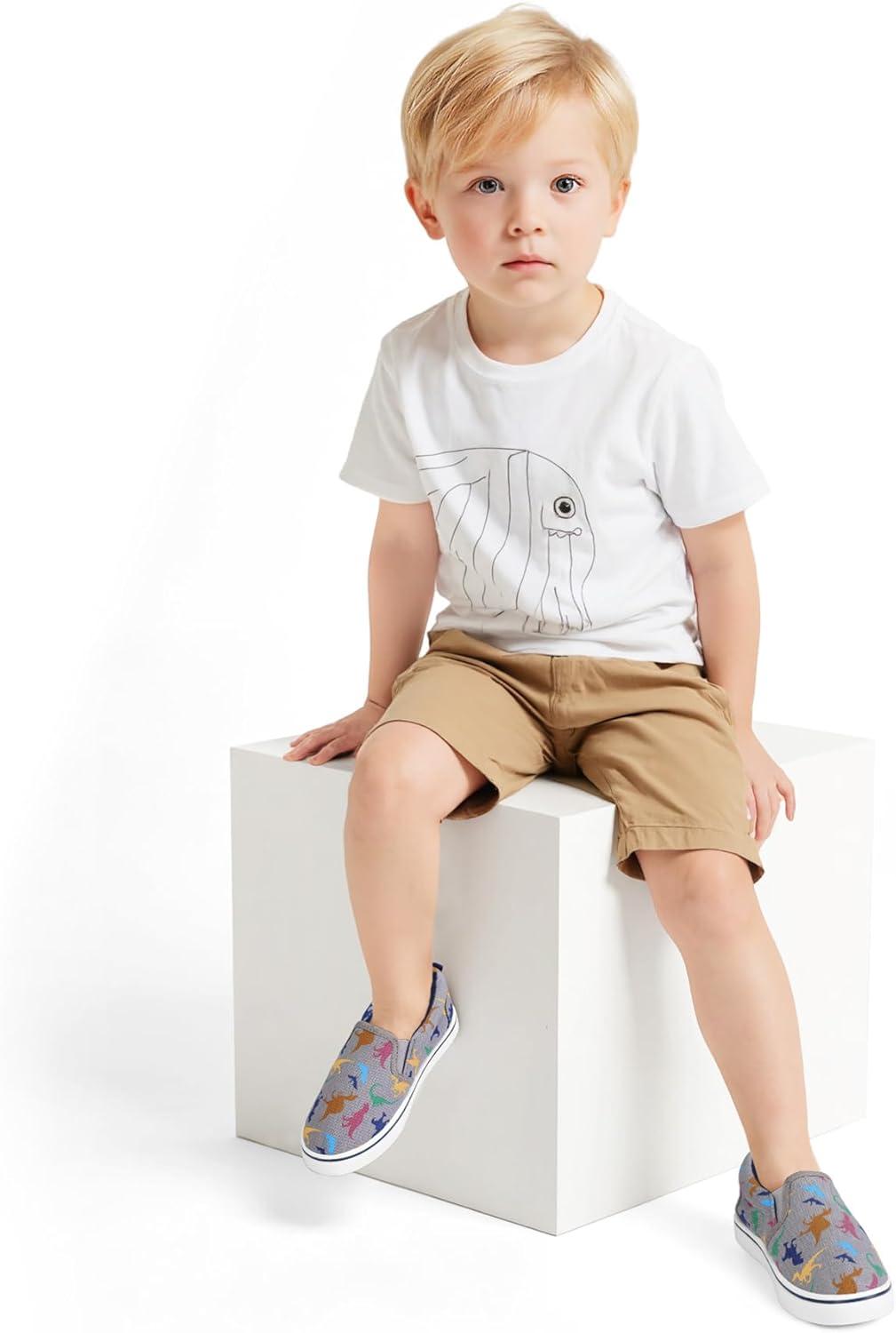 imageK KomForme Kids Shoes Toddlers Canvas Sneakers Slip on Walking Tennis Shoes for Boys GirlsToddlerLittle KidsBig KidsB1grey Dinosaur